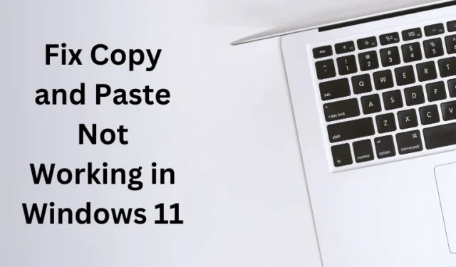 Behebung, dass Kopieren und Einfügen unter Windows 11 nicht funktioniert