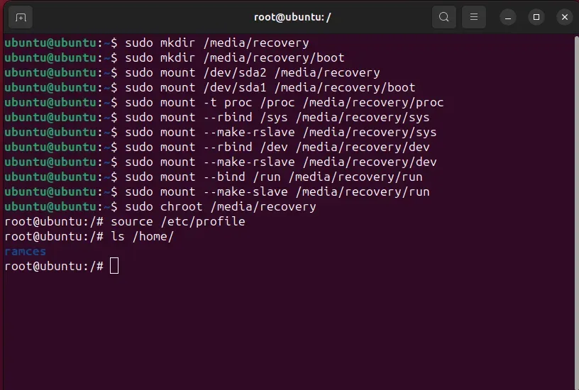 Een terminal die het montage- en chroot-proces toont om Ubuntu-crashes te verhelpen.