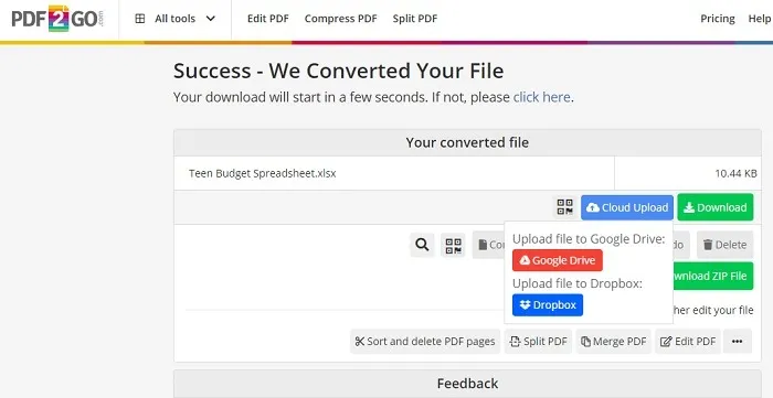 Options d'enregistrement de PDF2Go pour votre fichier converti.