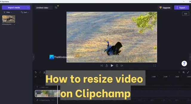 Cómo cambiar el tamaño de un vídeo en Clipchamp