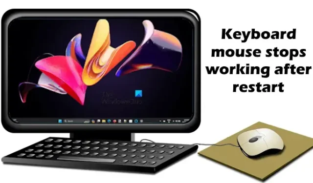 O teclado ou mouse para de funcionar após reiniciar no Windows 11/10