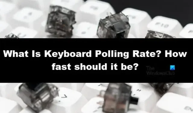 O que é a taxa de pesquisa do teclado? Quão rápido deveria ser?
