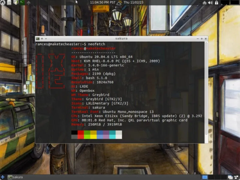 Ein Screenshot eines Terminals mit den Spezifikationen für den LXDE KVM.