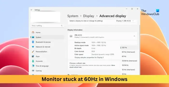 Monitor atascado a 60 Hz en Windows