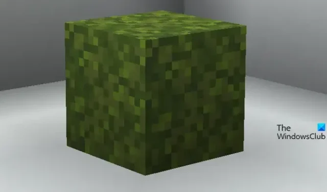 Moss vinden en gebruiken in Minecraft