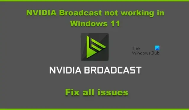 NVIDIA Broadcast non funziona in Windows 11
