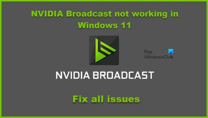 NVIDIA Broadcast werkt niet in Windows 11