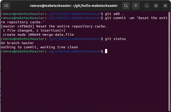 Een terminal die een volledig gereset Git-cache toont.