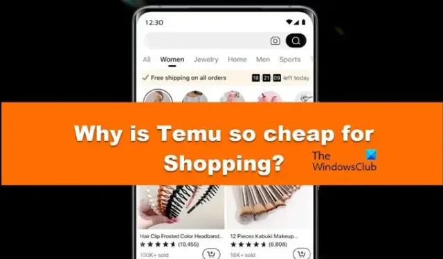 Por que o Temu é tão barato para fazer compras?