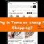 Perché Temu è così economico per lo shopping?