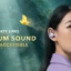 Soundcore by Anker Liberty 3 Pro イヤフォンが 35% オフ
