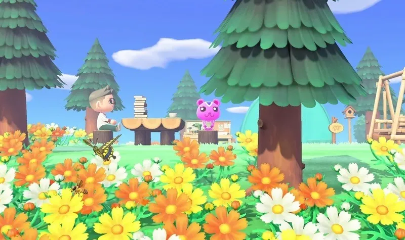 Giocare ad Animal Crossing in un accampamento.