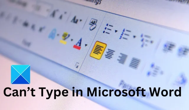 Kan niets typen in Microsoft Word; Wat moeten we doen?