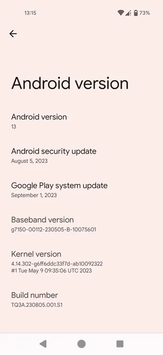 Vista de detalles de la versión de Android.