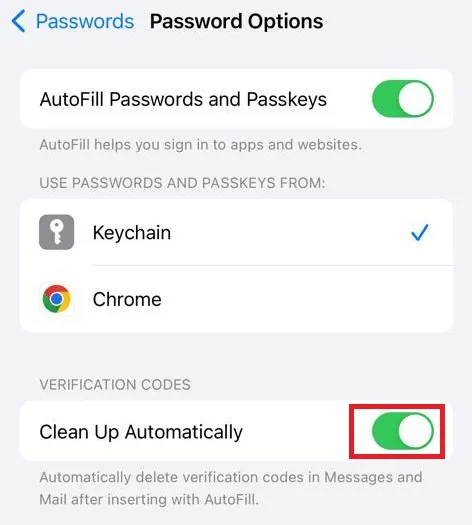 Pulisci automaticamente le password su iPhone