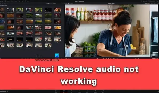 DaVinci Resolve 音訊無法在 Windows PC 上播放 [修復]