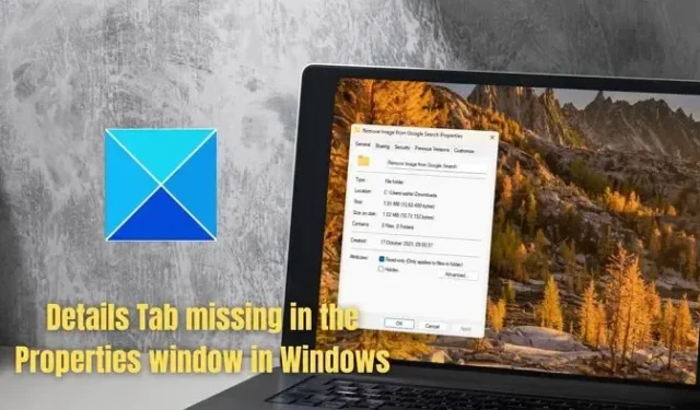 Windows 11의 속성 창에 세부 정보 탭이 없습니다.