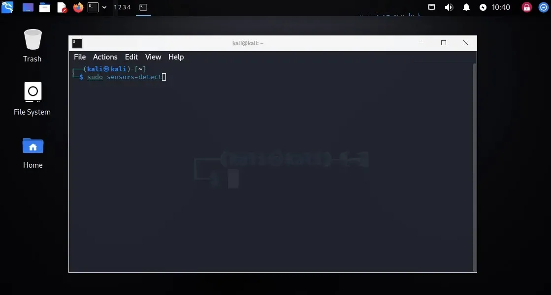 Capture d'écran du terminal Linux