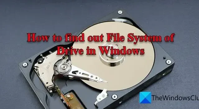 Windows 11/10에서 드라이브의 파일 시스템을 찾는 방법