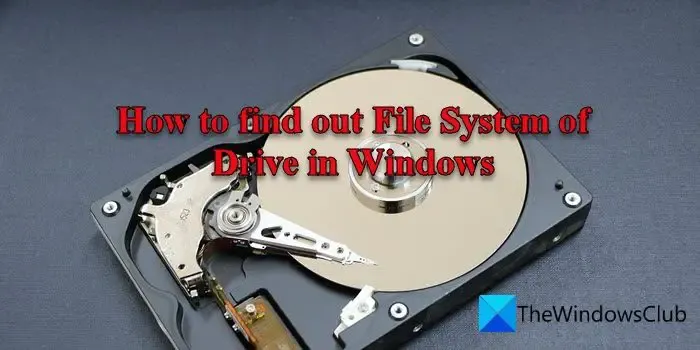 So finden Sie das Dateisystem des Laufwerks in Windows heraus