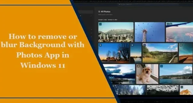 Come rimuovere o sfocare lo sfondo con l’app Foto in Windows 11