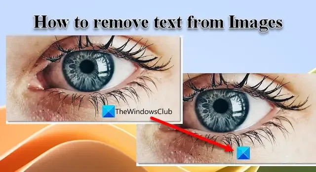 Come rimuovere testo dalle immagini su PC Windows