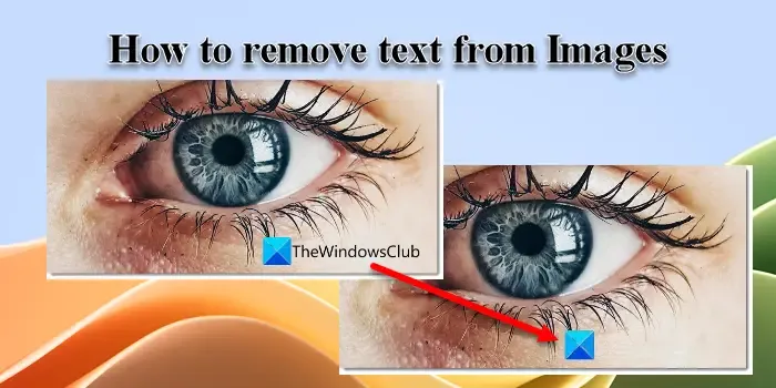 Come rimuovere testo dalle immagini su PC Windows