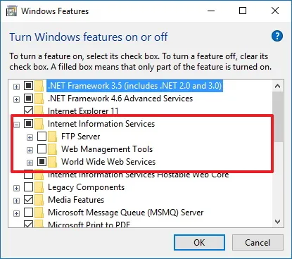Microsoft IIS: servicios World Wide Web
