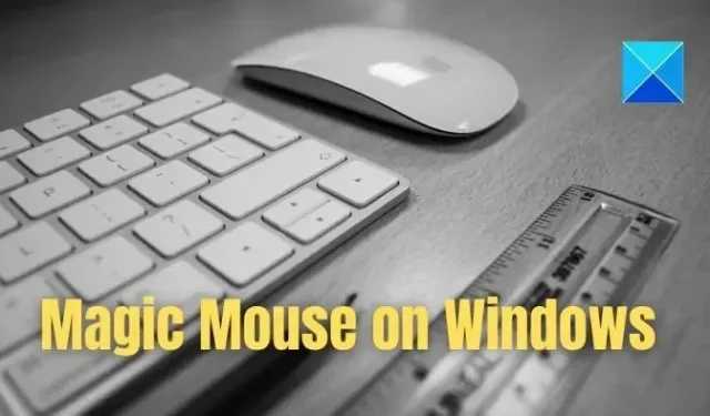 Hoe installeer en gebruik ik Magic Mouse op Windows 11/10?