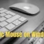 Wie richte ich Magic Mouse unter Windows 11/10 ein und verwende es?