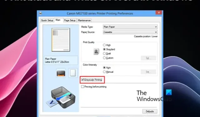Cómo imprimir en blanco y negro en Word en Windows 11