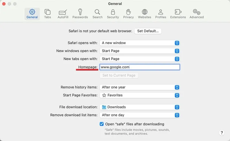 Eingabe einer neuen Homepage für den Safari-Browser auf dem Mac.