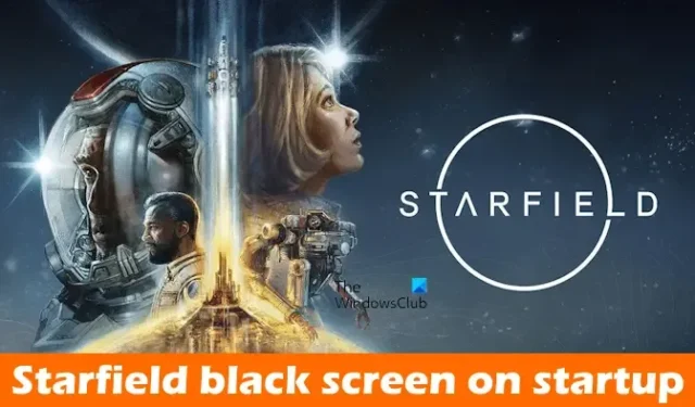 Starfield schwarzer Bildschirm beim Start [Fix]