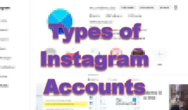 Instagram 帳號有哪些類型，哪種最好？