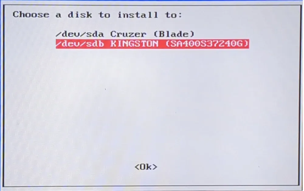 Een screenshot met de verschillende beschikbare schijven voor de Chimera-installatie.