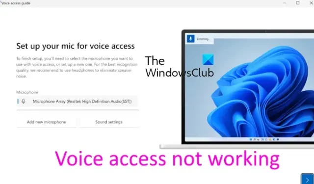 L’accesso vocale non funziona su Windows 11/10
