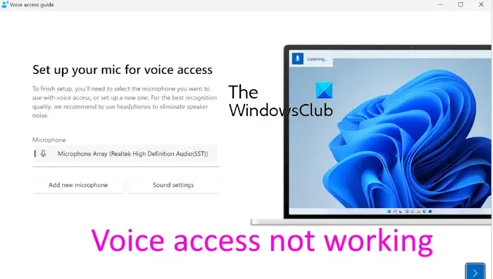 L'accesso vocale non funziona su Windows