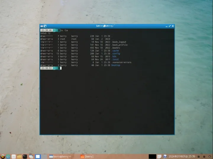 Uma captura de tela da área de trabalho do Berry Linux.