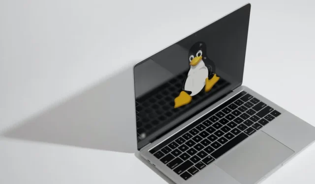 As 12 principais distros Linux para escolher em 2024