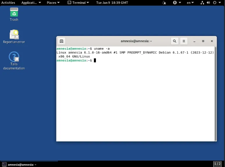Uma captura de tela mostrando um exemplo de desktop para Tails OS.