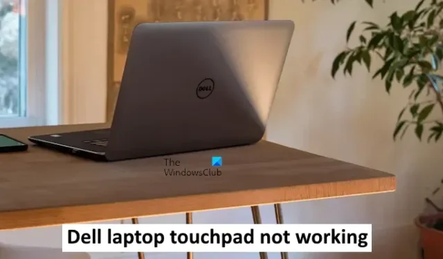 Touchpad van Dell laptop werkt niet [repareren]