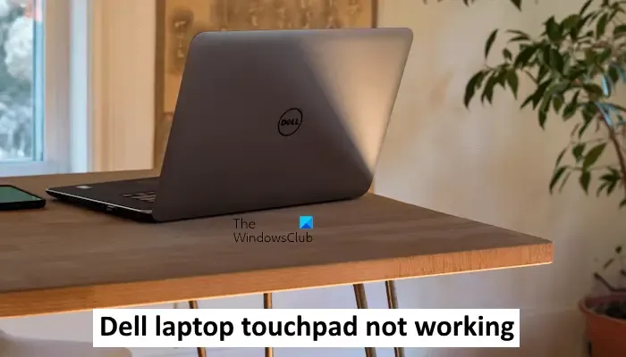 Touchpad van Dell laptop werkt niet