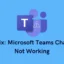 Correção – o bate-papo do Microsoft Teams não funciona no Windows 11