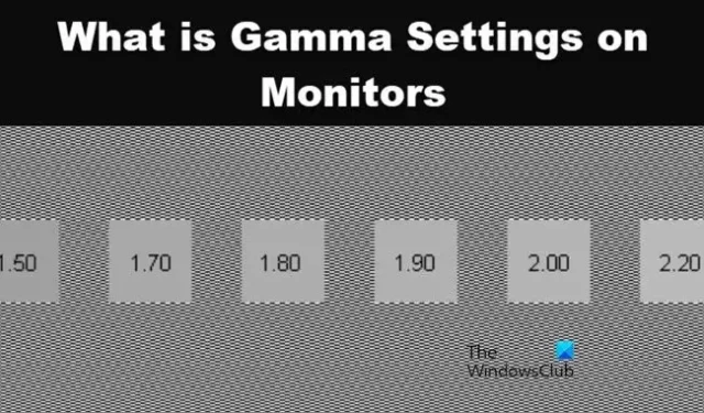 什麼是顯示器上的伽瑪設定？