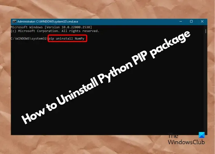 Disinstallare il pacchetto PIP Python