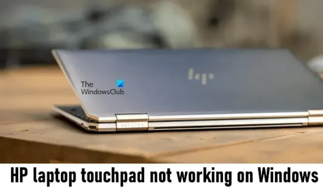 HP laptop Touchpad werkt niet op Windows 11