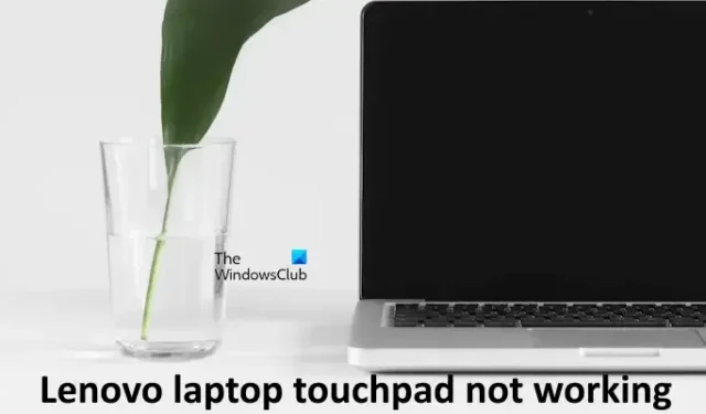Le pavé tactile de l’ordinateur portable Lenovo ne fonctionne pas [Réparer]