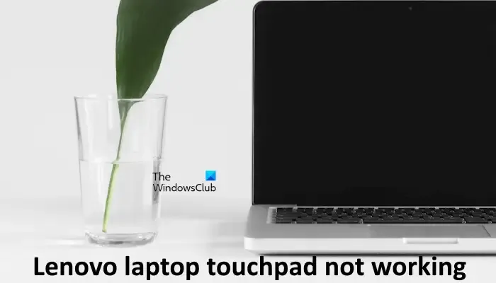 Le pavé tactile de l'ordinateur portable Lenovo ne fonctionne pas