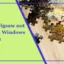 Microsoft Jigsaw no funciona en Windows 11