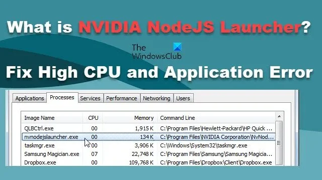 Correction de l’utilisation élevée du processeur et de l’erreur d’application du lanceur NVIDIA NodeJS